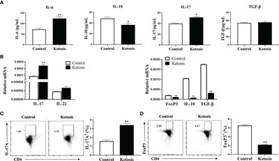 Intracellular Ca2+ Signaling and Calcium Release-Activated Calcium Modulator ORAI1 Are Associated With CD4+ T Lymphocytes in Dairy Cows